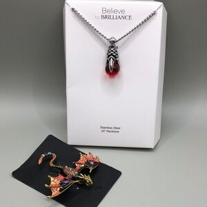 Curated bundle dragon fairytail jewelry brooch-pendant stainless steel necklace.